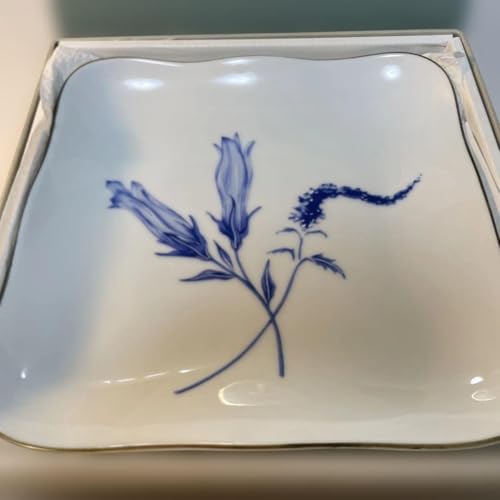 深川製磁 皿」の人気商品一覧 | 安い商品を通販サイトから探す - 価格.com